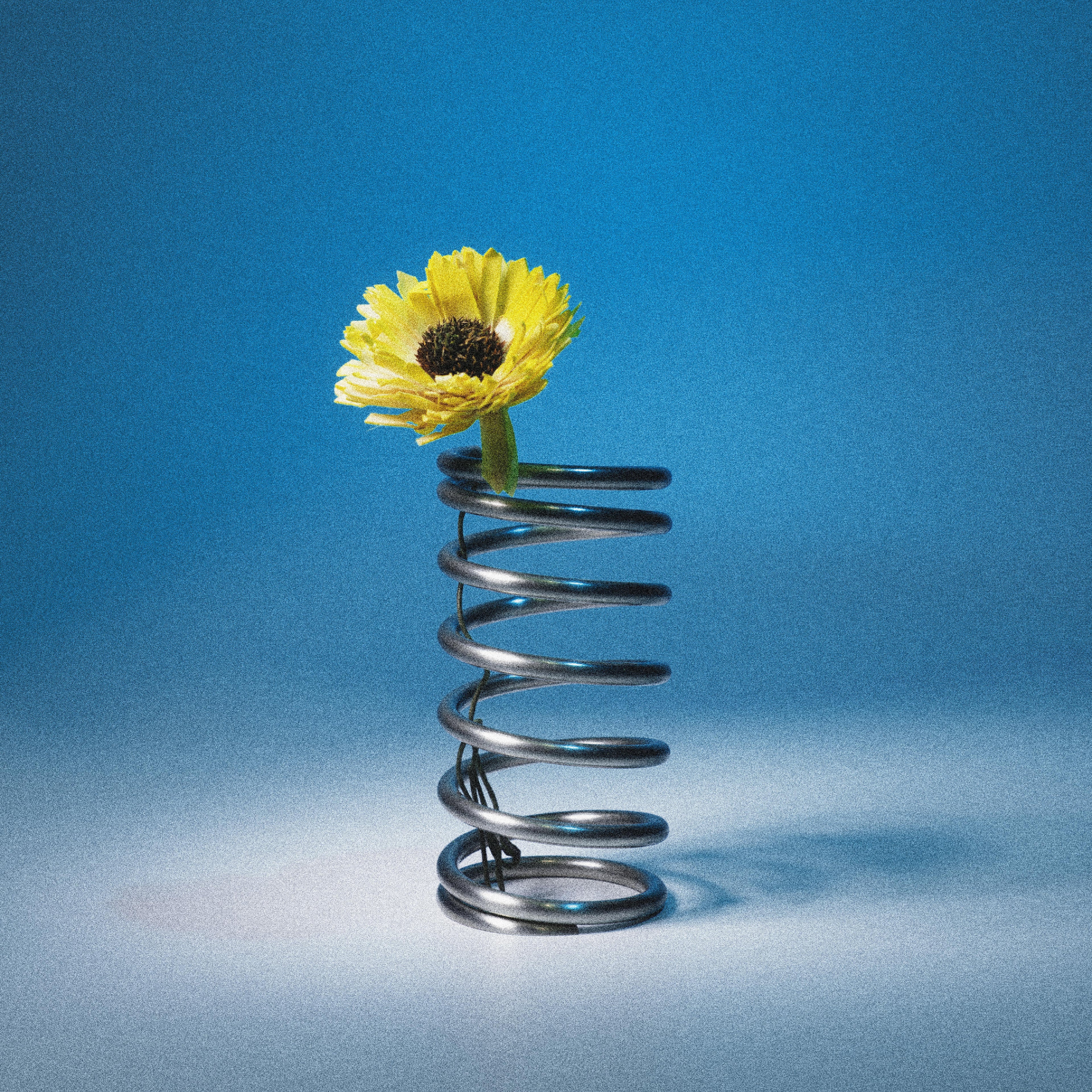TUDES｜STAINLESS STEEL SPIRAL HOLDER