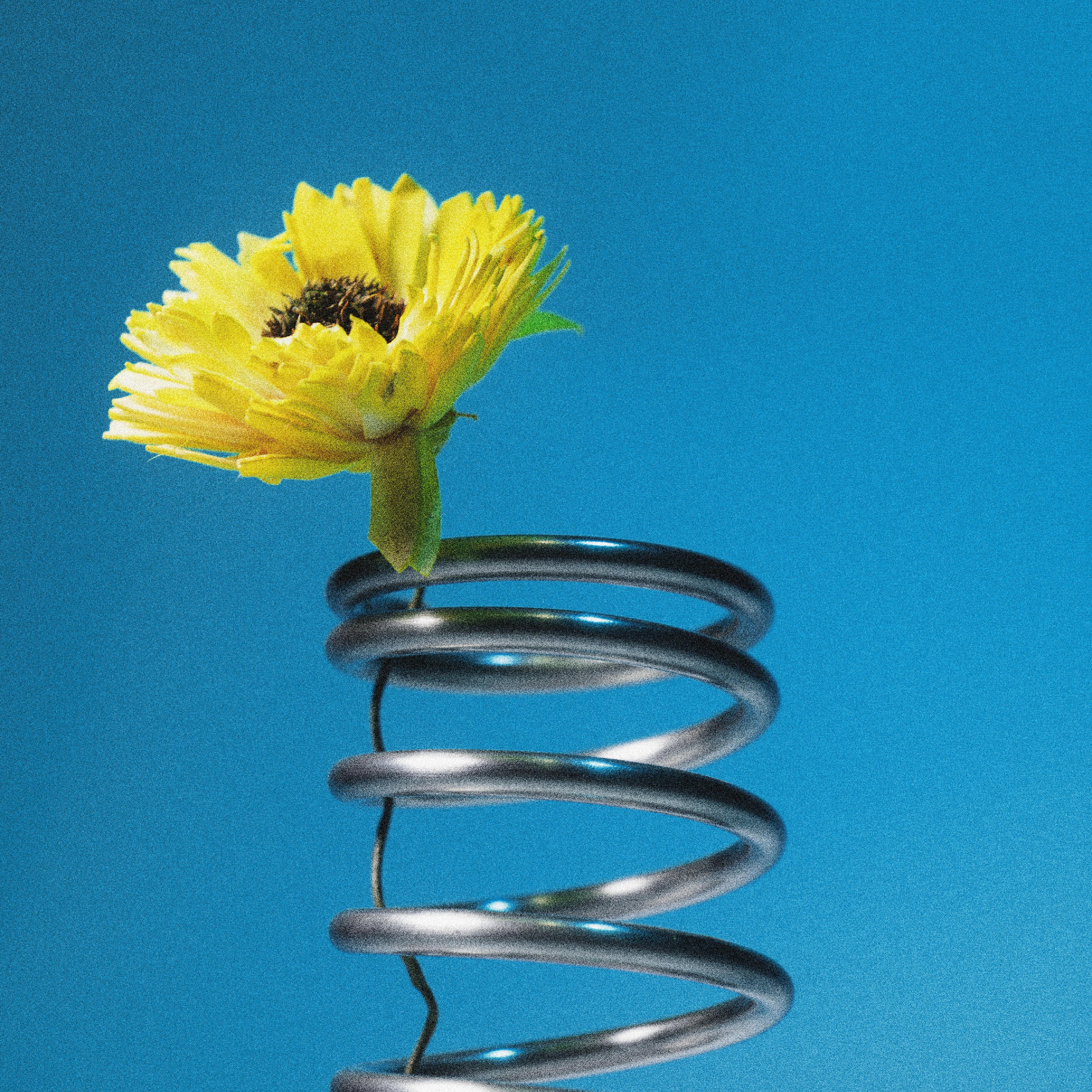 TUDES｜STAINLESS STEEL SPIRAL HOLDER