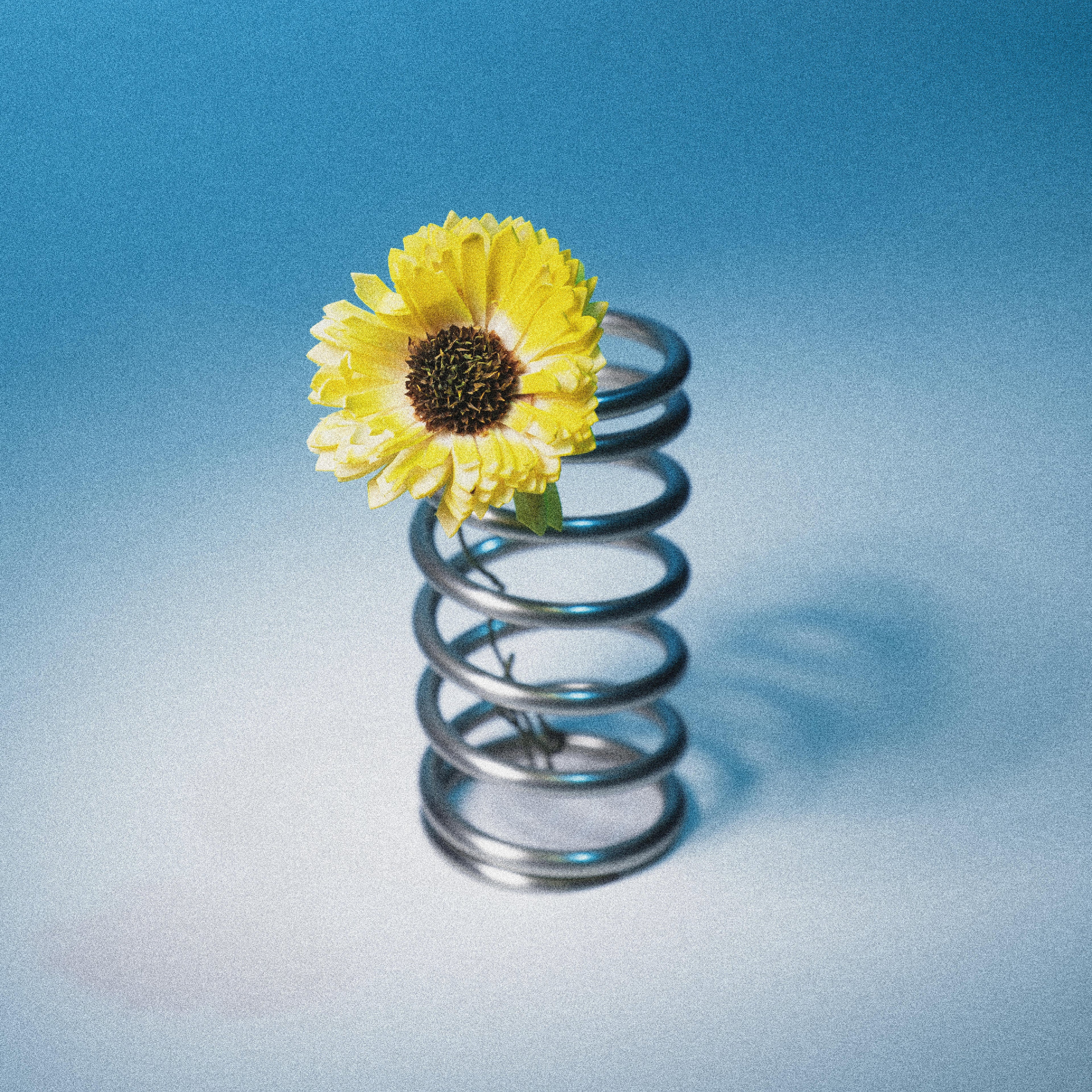 TUDES｜STAINLESS STEEL SPIRAL HOLDER